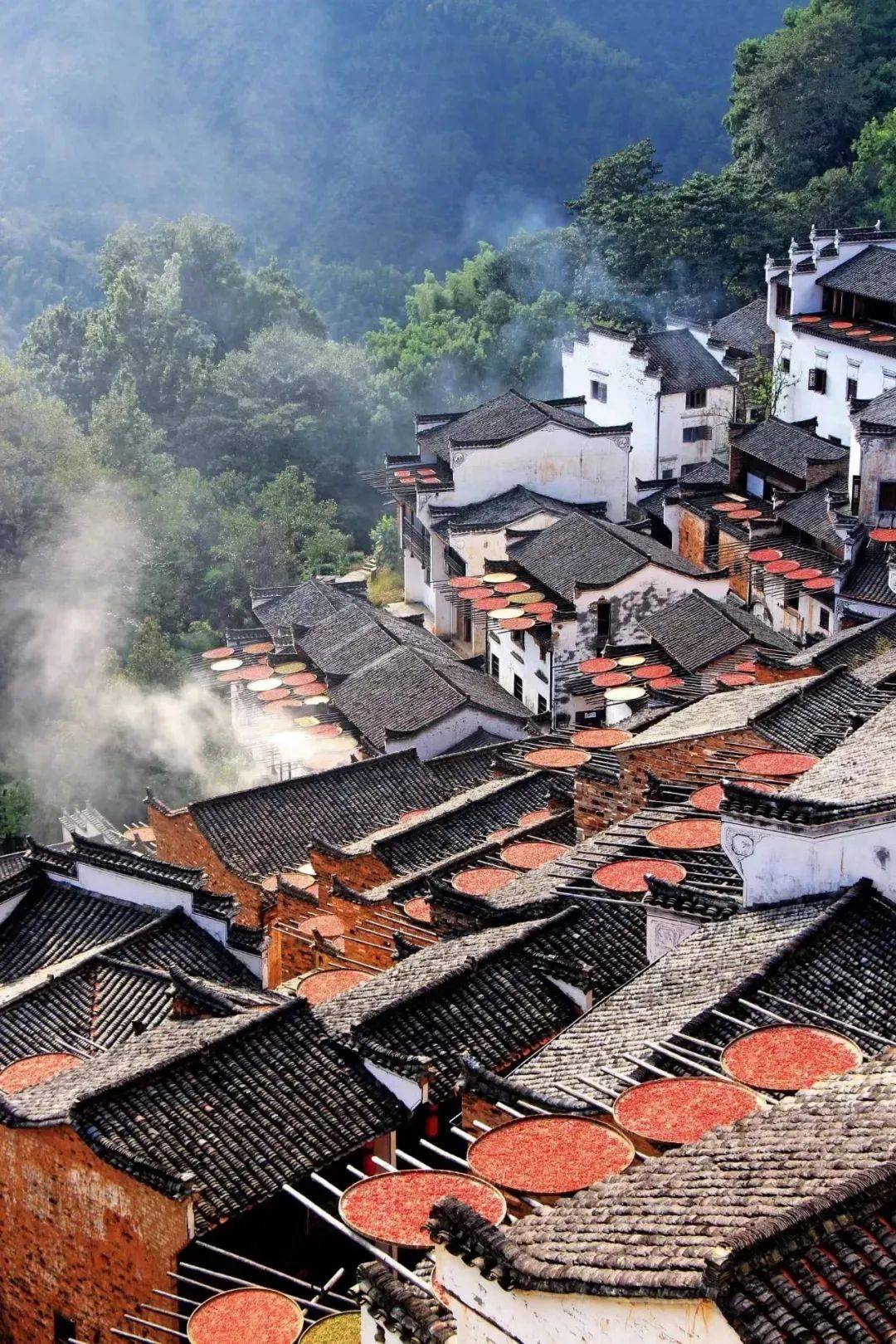 江西之光，学习变化的力量与自信的征程之旅
