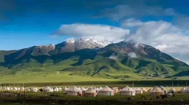 新疆，嘉宾与友朋共聚一堂