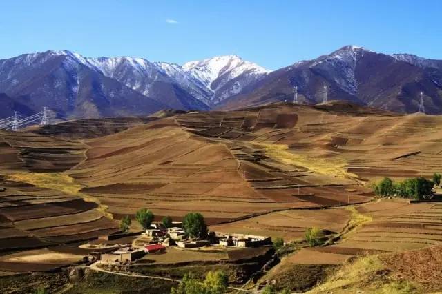 甘肃风味巷弄寻踪——藏香居特色小店揭秘